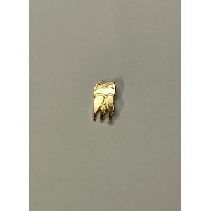 Molaire (Dentisterie)